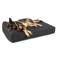 Orthopedic Dog Bed Made in USA