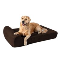 Orthopedic Dog Bed with Pillow Top
