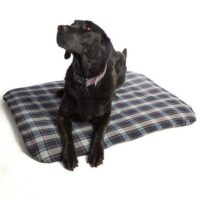 Large Therapy Pet Bed