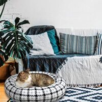 Plush Pet Bed Made in USA